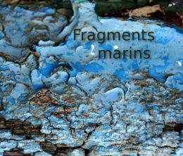 Fragments marins illustration